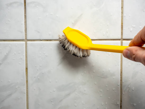 Best Mold Removal Near Me  in Cherryville, NC