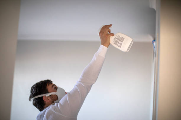 Best Commercial Mold Removal  in Cherryville, NC