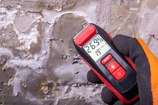Best Mold Cleaning Services  in Cherryville, NC