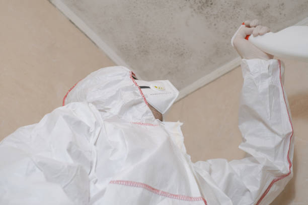 Best Mold Cleaning Services  in Cherryville, NC