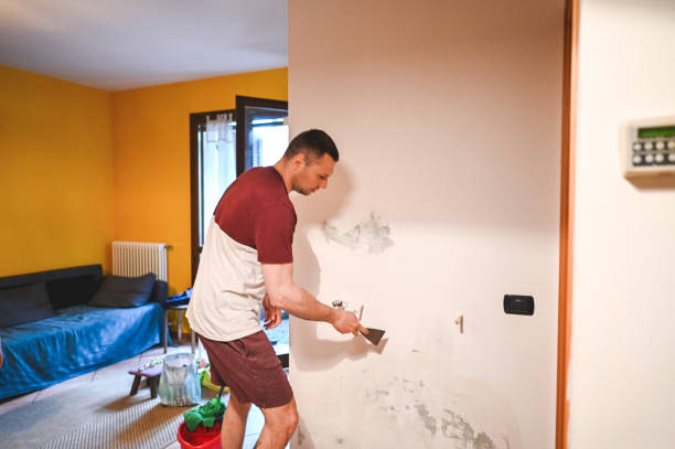 Mold Removal and Inspection in Cherryville, NC