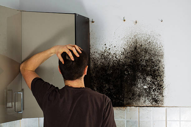 Cherryville, NC Mold Removal Company